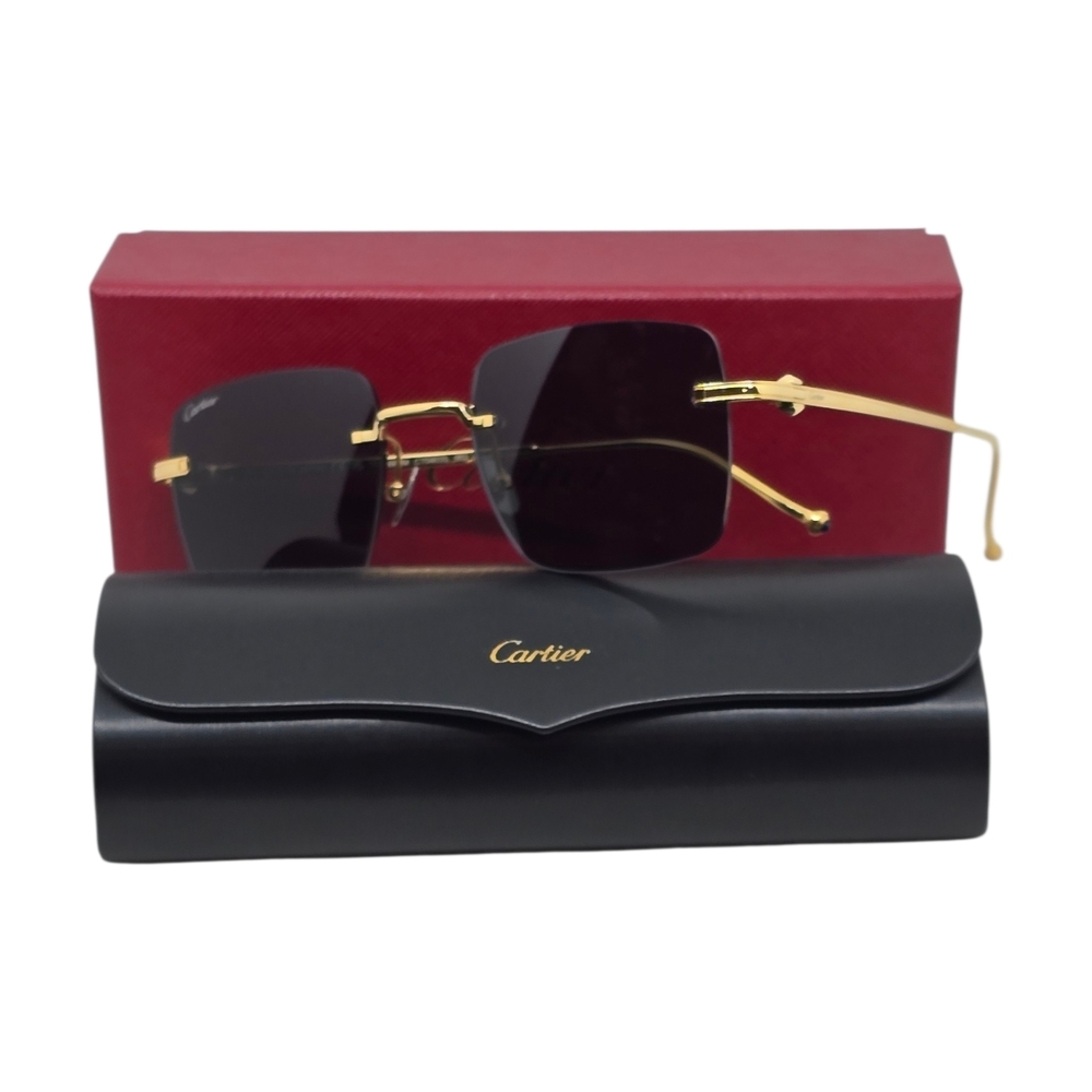 CARTIER Titanium Gold and Black Men's Sunglasses